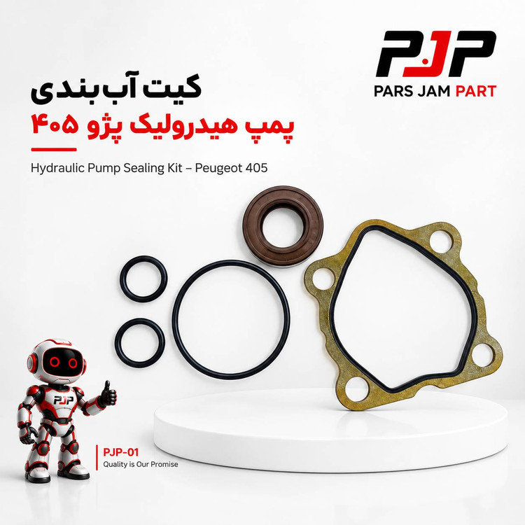 کیت اب بندی پمپ هیدرولیک پژو 405 پیچی